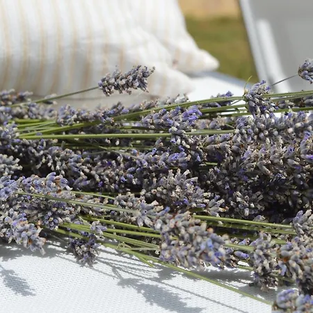 乡村民宿 Profumi... Vinchio