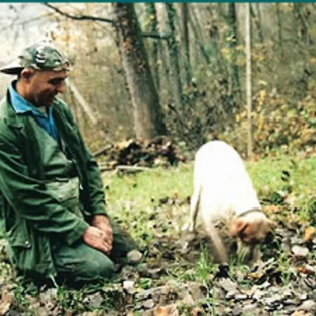 乡村民宿 Profumi...